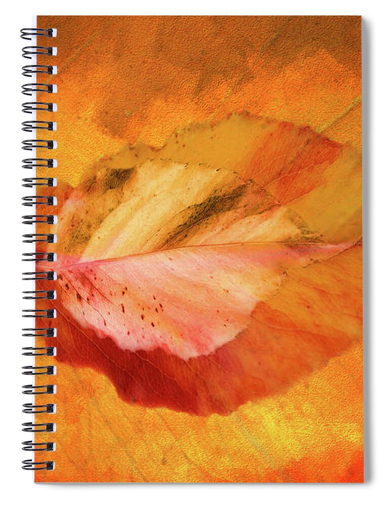 Photography Spiral Notebook featuring the digital art Autumn Leaves Design by Terry Davis