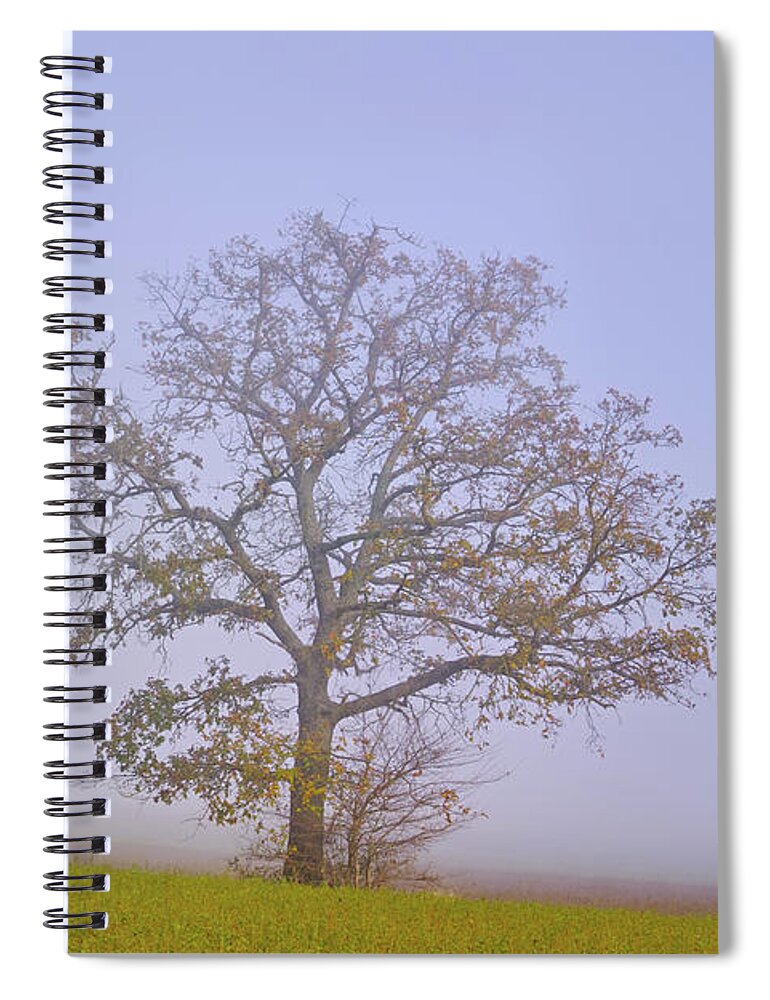 Landscape Spiral Notebook featuring the photograph Autumn mist by Karine GADRE