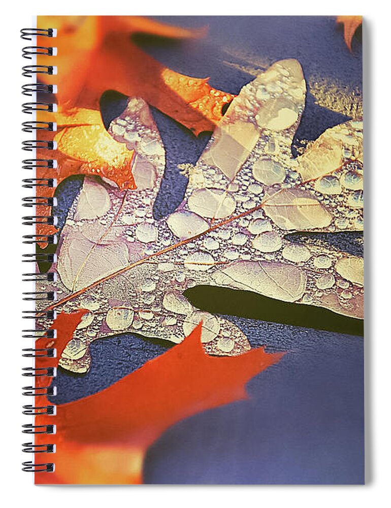 Autumn Mornings And Dewy Leaves Spiral Notebook featuring the photograph Autumn Mornings and Dewy Leaves by Christina McGoran