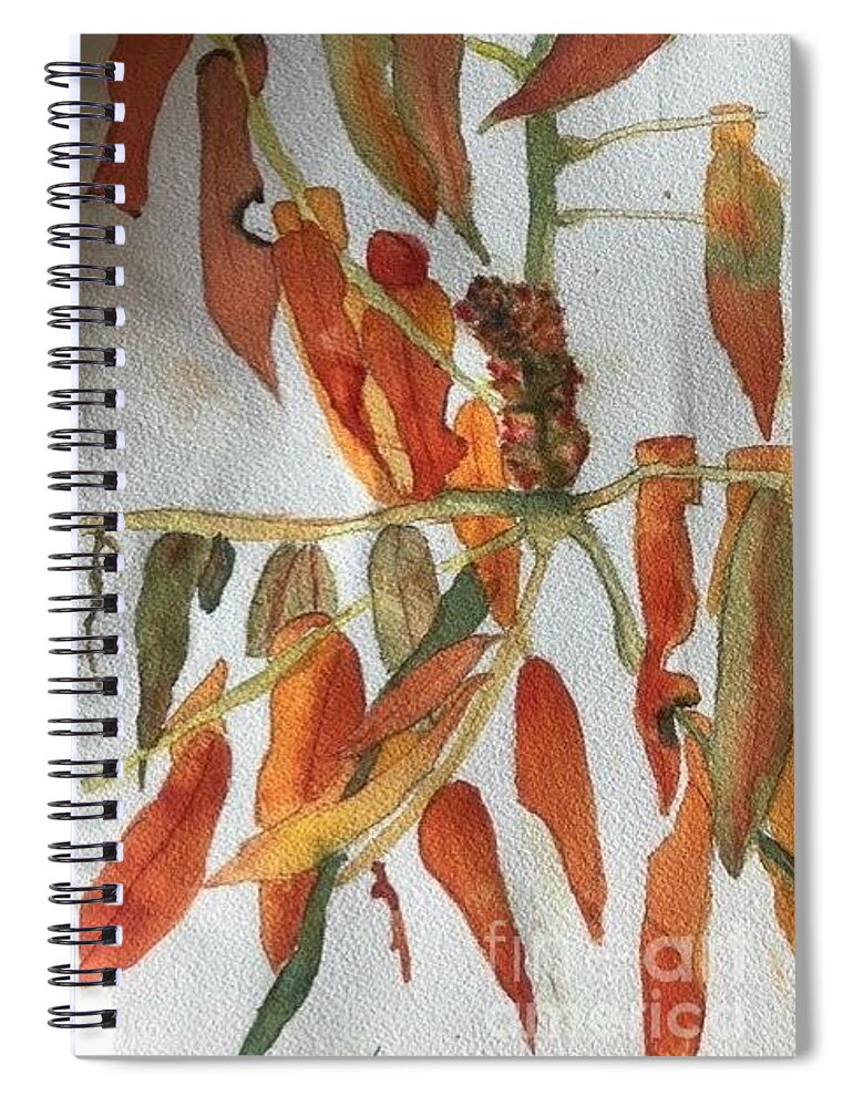 Watercolour Autumn Sumac Fall Leaves Spiral Notebook featuring the painting Autumn Sumac by Nina Jatania