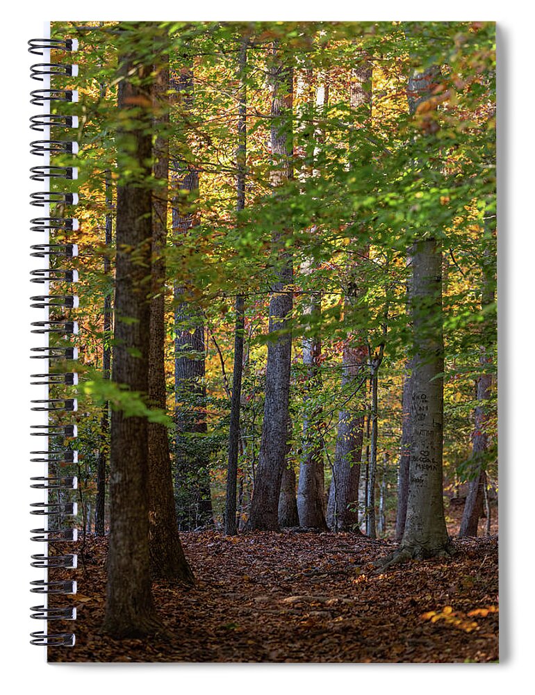 Park Spiral Notebook featuring the photograph Autumn Trail by Rachel Morrison
