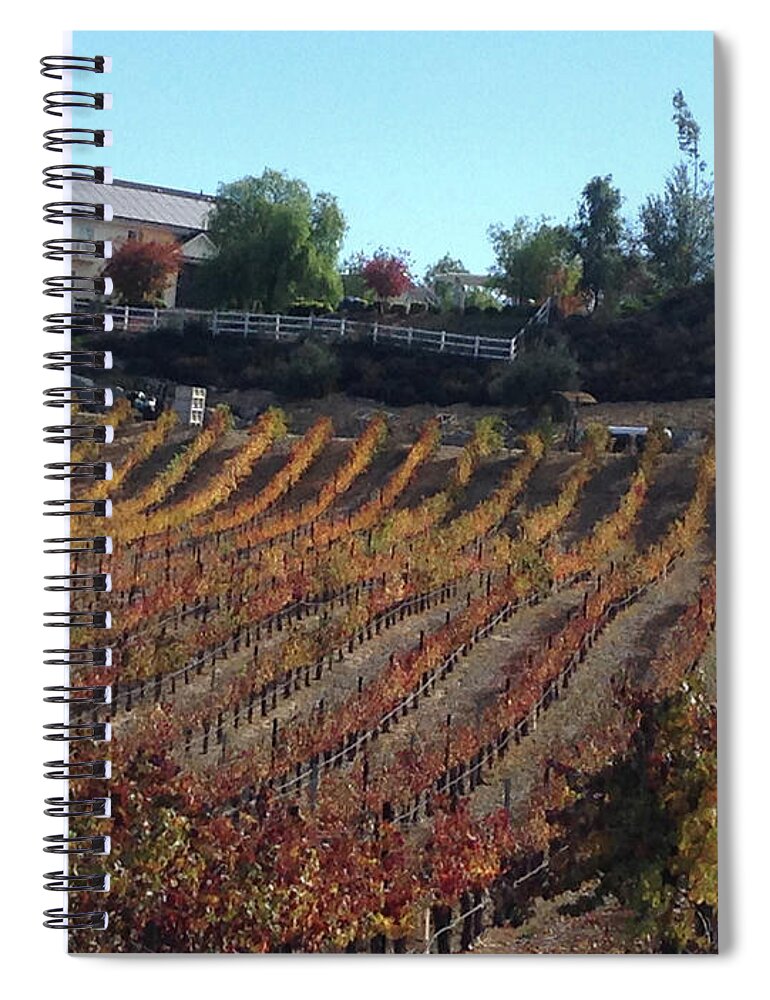 Autumn Spiral Notebook featuring the photograph Autumn Vines Temecula by Roxy Rich