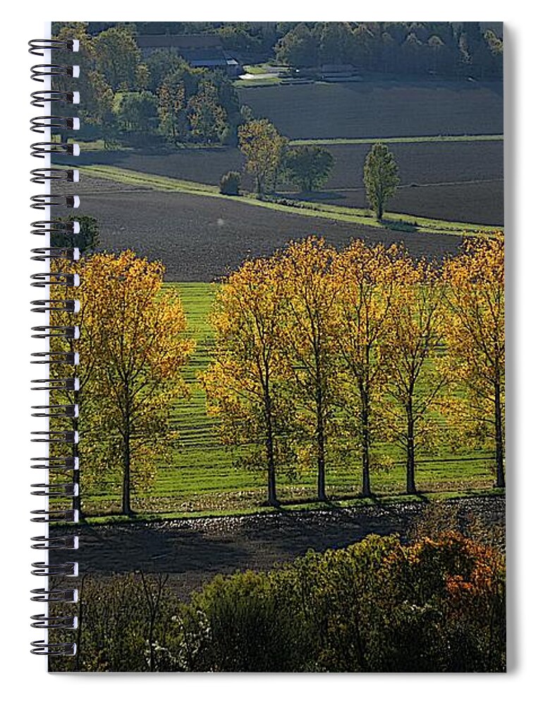 Art Spiral Notebook featuring the photograph Autumnal Leaves and Trees 3 by Jean Bernard Roussilhe