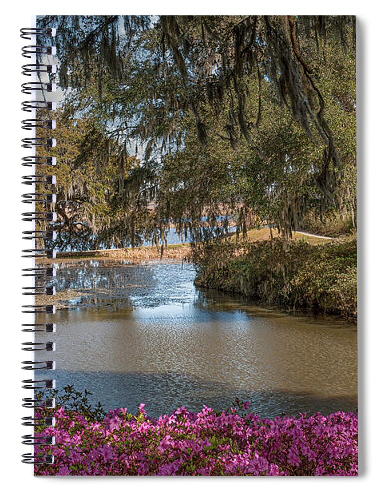 Azalea Spiral Notebook featuring the photograph Azalea Alley on the Grounds of Middleton Place by Dale Powell