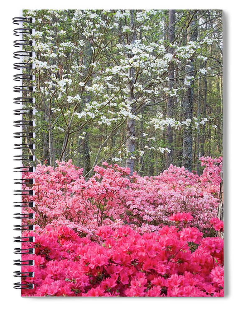 Azalea Spiral Notebook featuring the photograph Azalea Heaven by Eggers Photography