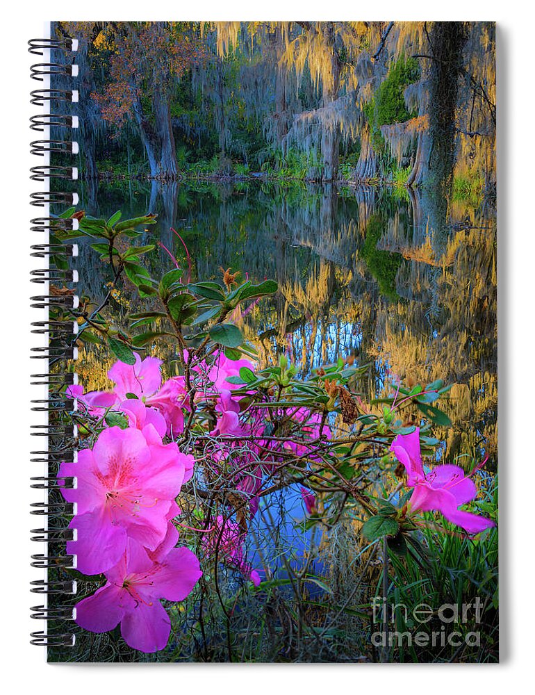 America Spiral Notebook featuring the photograph Azaleas and Cypresses by Inge Johnsson