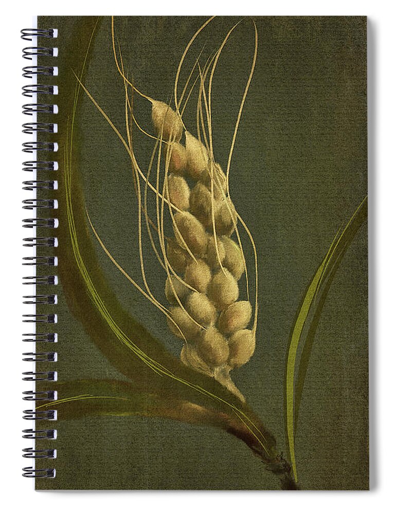 Wheat Spiral Notebook featuring the digital art Baby Bread by Lois Bryan