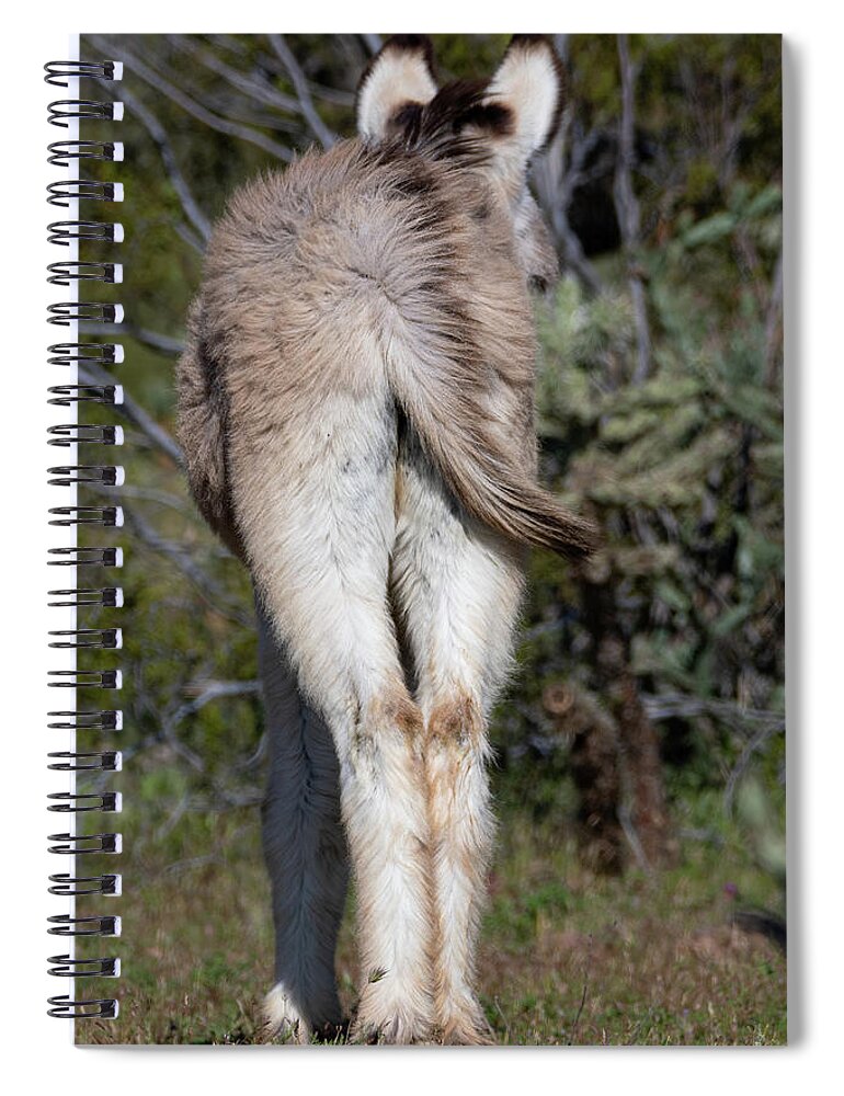 Wild Burros Spiral Notebook featuring the photograph Baby Burro Butts Drive Me Nuts by Mary Hone