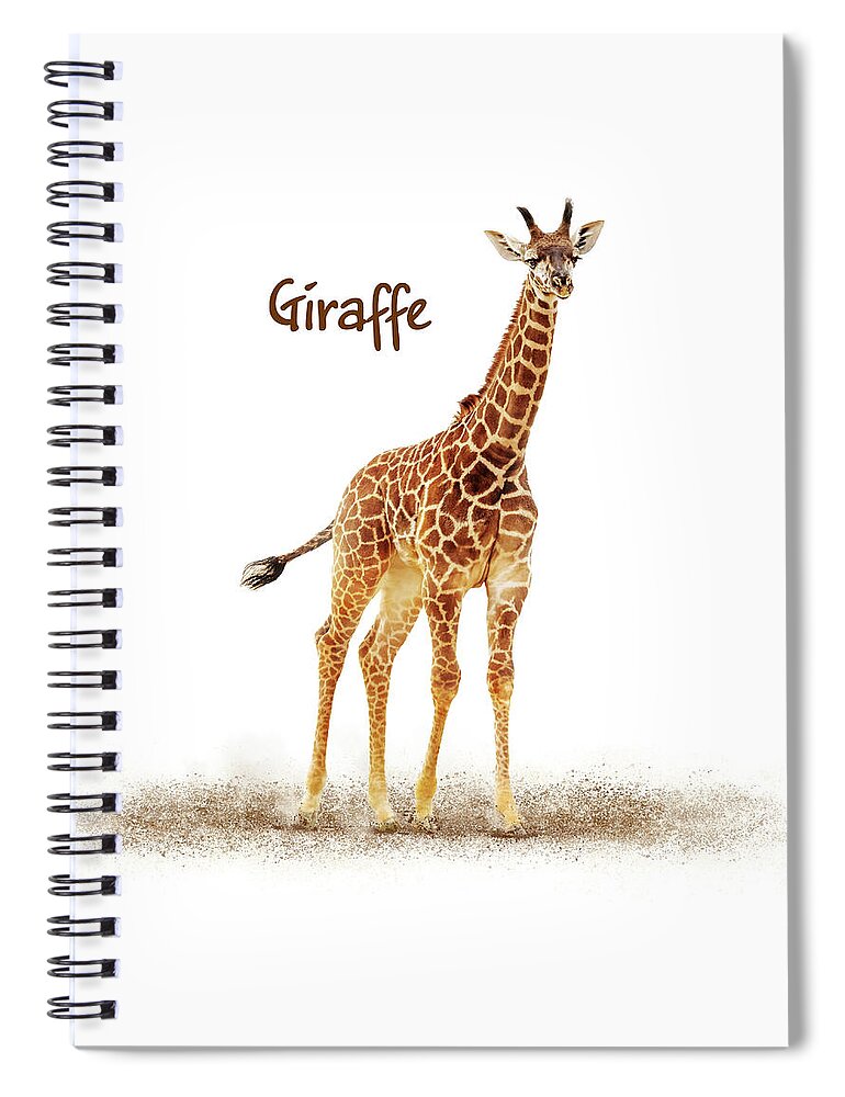 Giraffe Spiral Notebook featuring the photograph Baby Giraffe on White by Good Focused