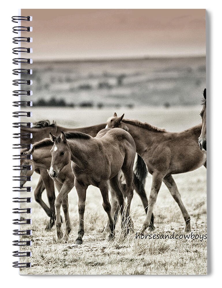 Mare Spiral Notebook featuring the photograph Babysitting by Jody Miller
