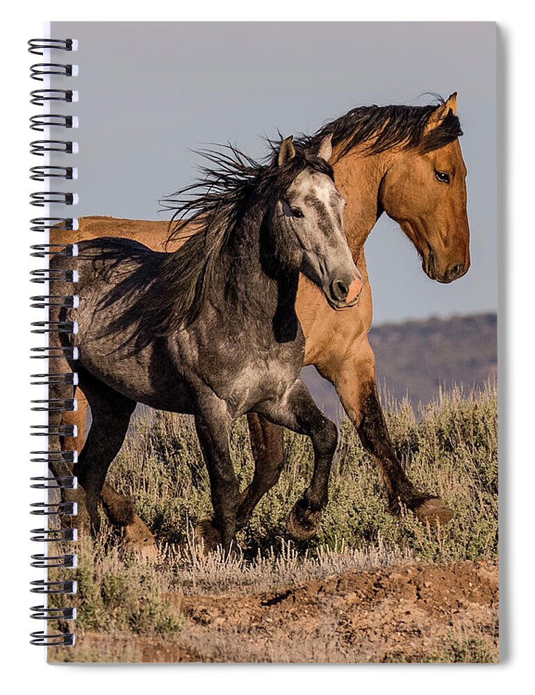 Wild Spiral Notebook featuring the photograph Bachelor Buddies by Dawn Key