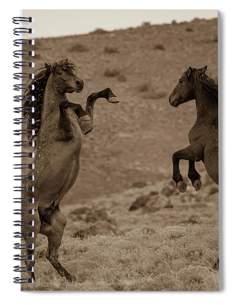 Wild Horses Spiral Notebook featuring the photograph Back Off by Mary Hone