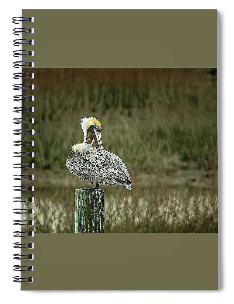 Birds Spiral Notebook featuring the photograph Back Scratcher by Ray Silva