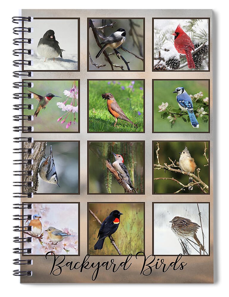 Birds Spiral Notebook featuring the photograph Backyard Birds by Lori Deiter