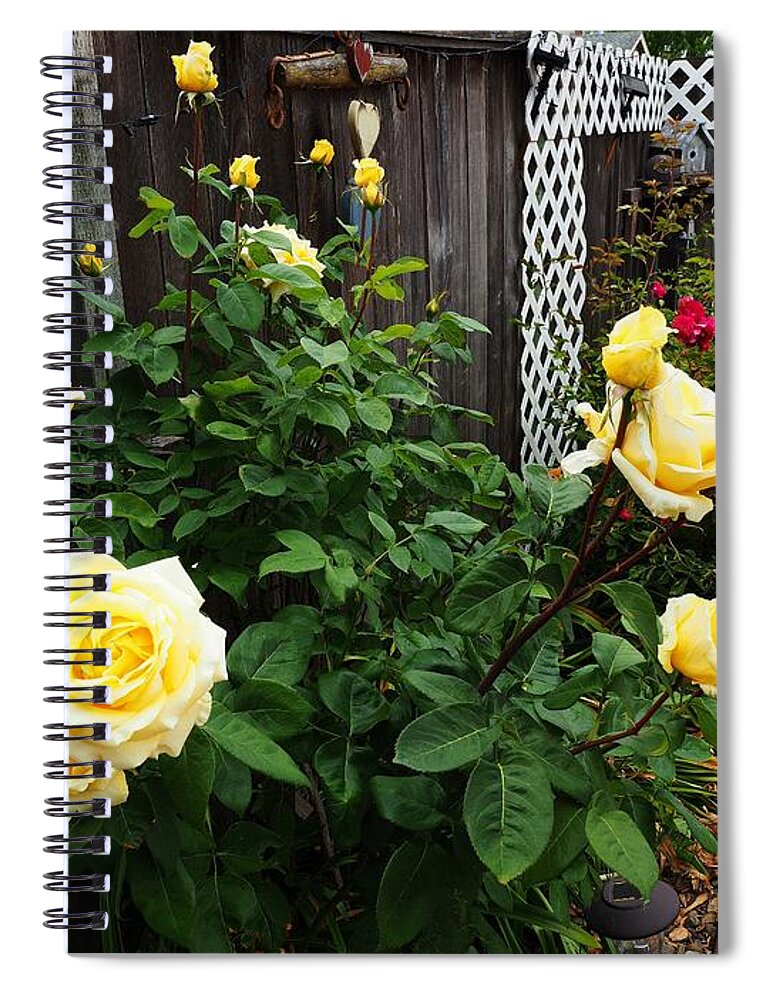 Roses Spiral Notebook featuring the photograph Backyard Rose Gathering by Richard Thomas