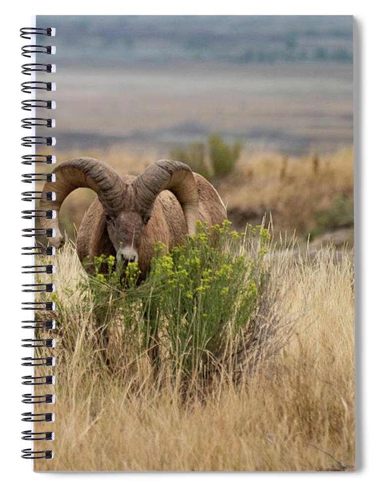  Spiral Notebook featuring the photograph Badlands 18 by Wendy Carrington