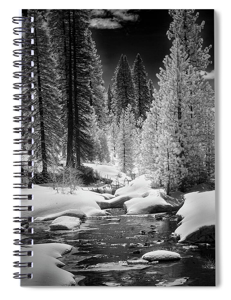 Lake Spiral Notebook featuring the photograph Bailey Creek Infrared by Mike Lee
