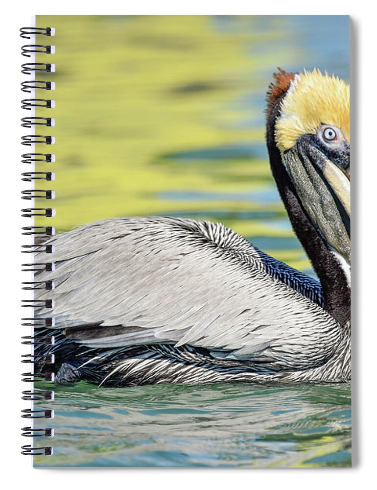 Brown Spiral Notebook featuring the photograph Bait Stand Reflections Too by Christopher Rice
