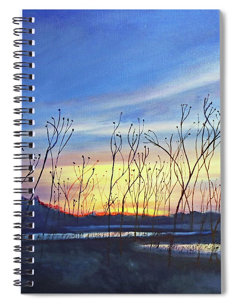 Landscape Spiral Notebook featuring the painting Baker Wetlands II by Nadine Button