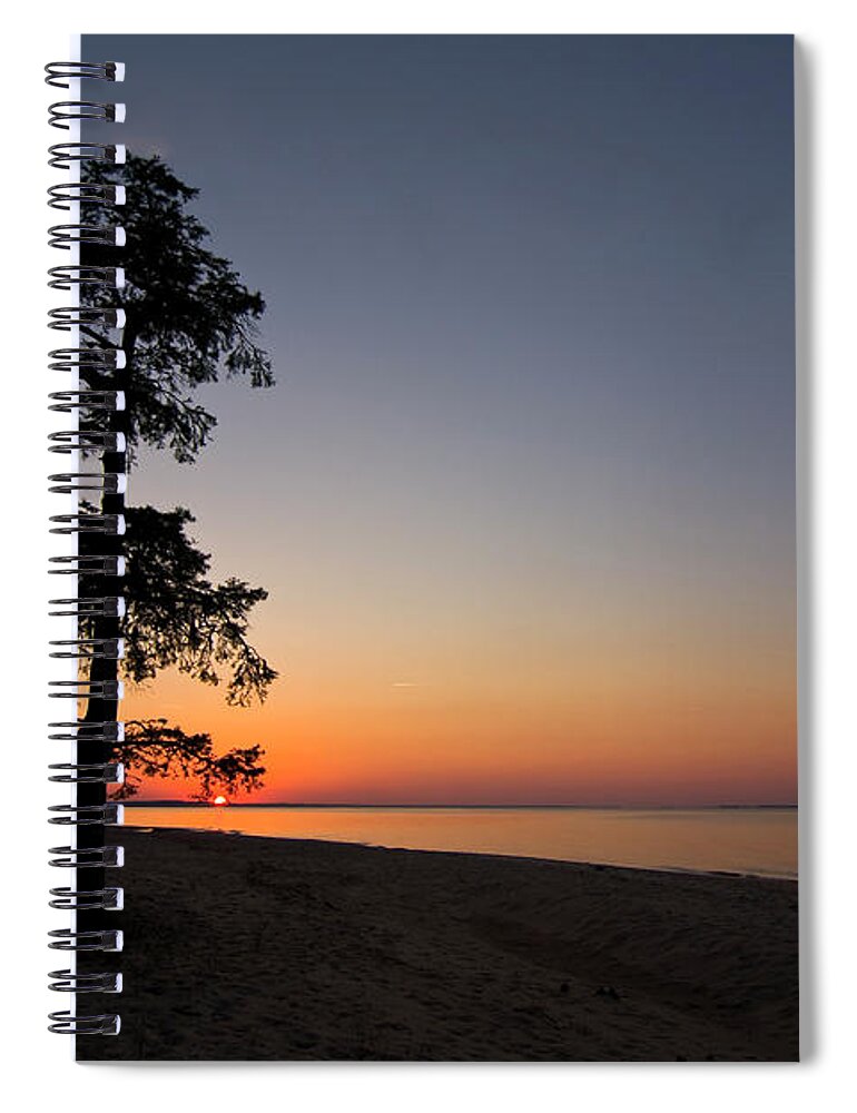 Bald Cypress Spiral Notebook featuring the photograph Bald Cypress Sunset at Pine Cliff Recreation Area by Bob Decker
