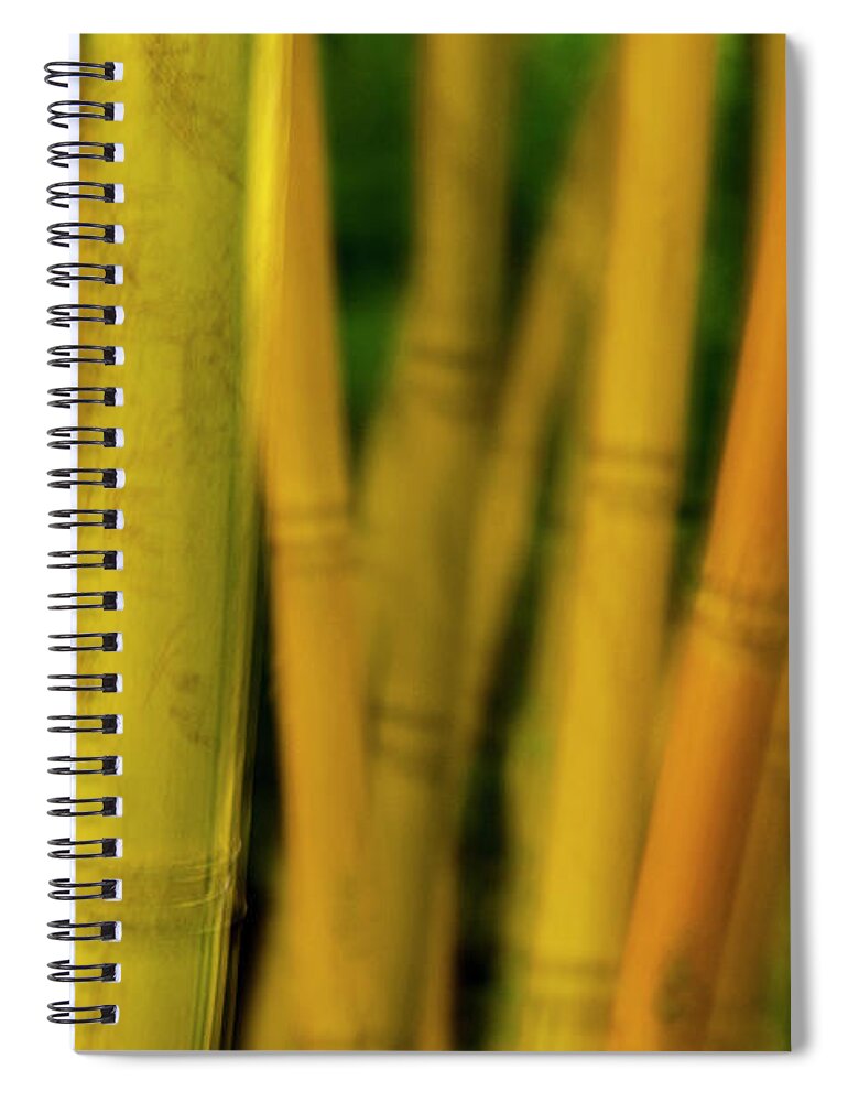 Bamboo Spiral Notebook featuring the photograph Bamboo Blur 2 by Melissa Southern