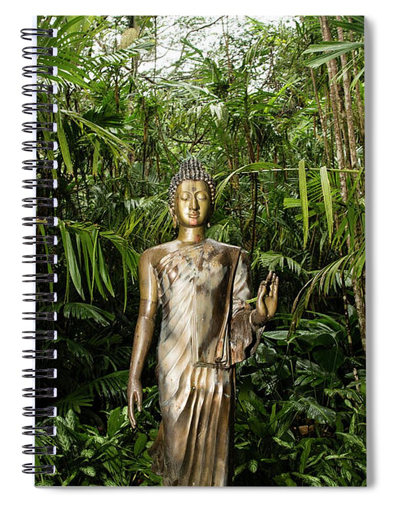 Bamboo Spiral Notebook featuring the photograph Bamboo Buddha by Joseph Philipson
