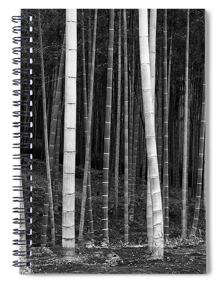 Kyoto Spiral Notebook featuring the photograph Bamboo Forest at the Edge of Abbot's Garden 2 by Bob Phillips