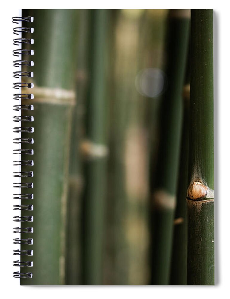 Bamboo Spiral Notebook featuring the photograph Bamboo green canes by Josu Ozkaritz