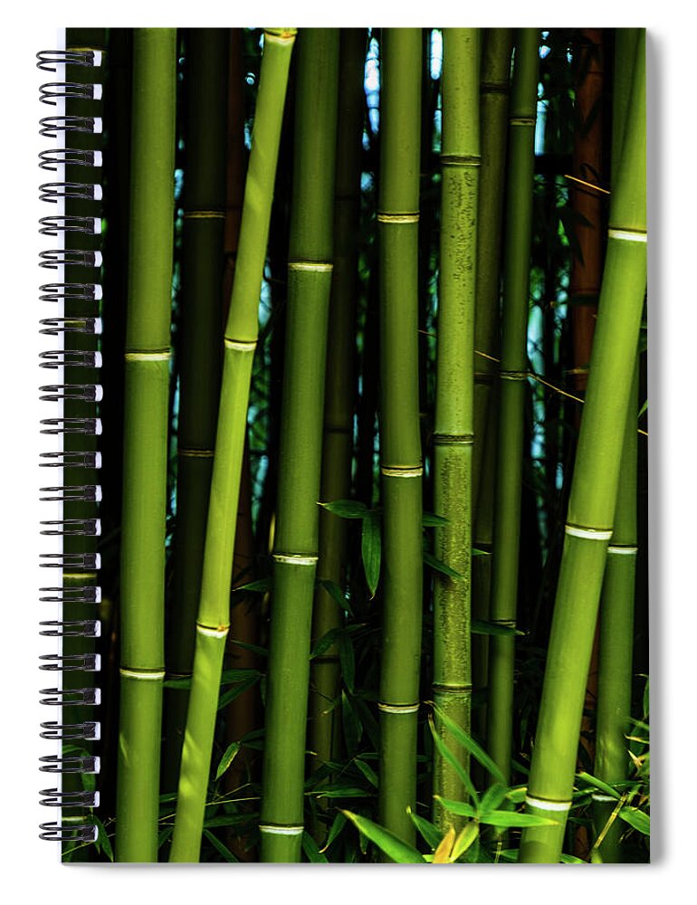 Bamboo Spiral Notebook featuring the photograph Bamboo II by Johnny Boyd