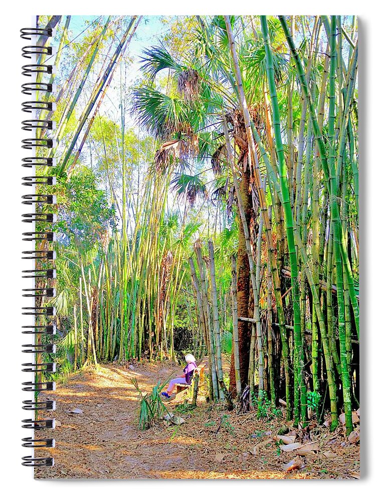 Bamboo Spiral Notebook featuring the photograph Bamboo Forest #1 by Alison Belsan Horton