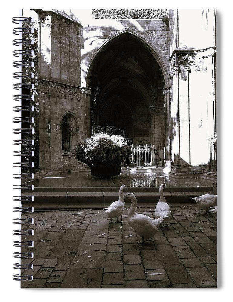 Catedral De Barcelona Spiral Notebook featuring the photograph Barcelona geese BW by Lisa Mutch