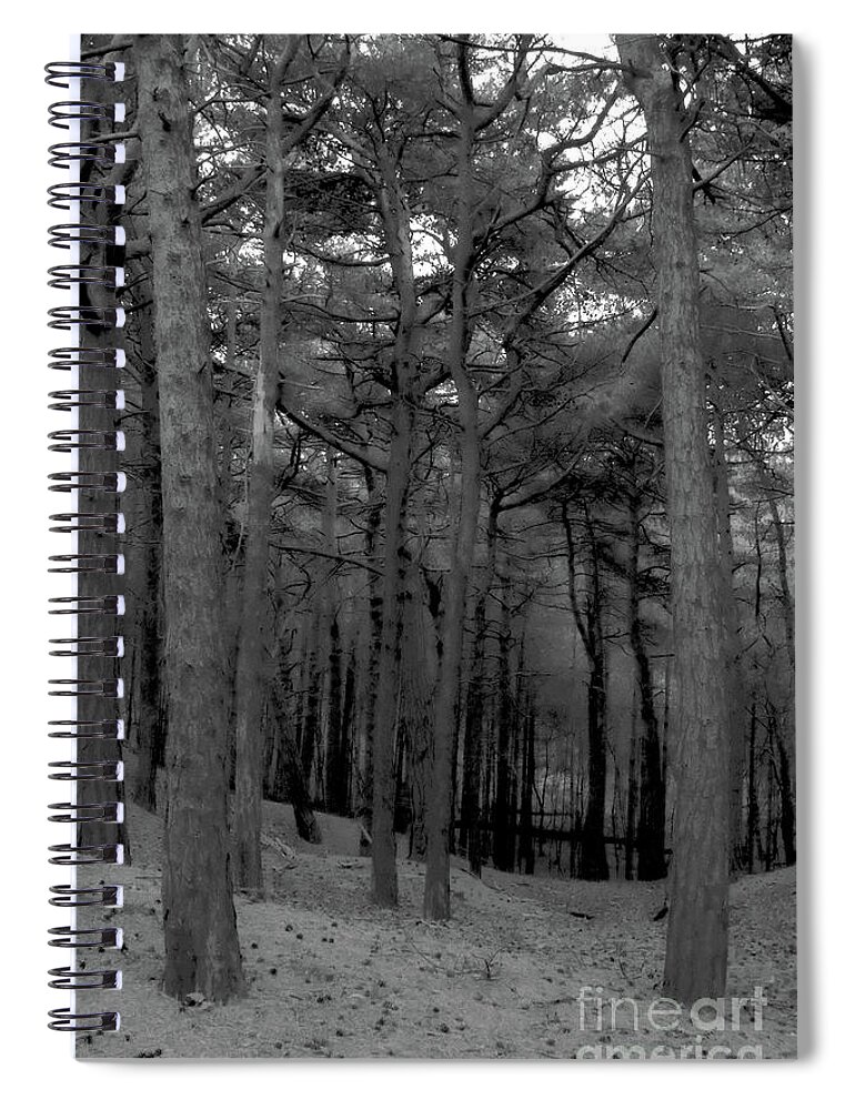 Black And White Spiral Notebook featuring the photograph Bare Forest by Doc Braham