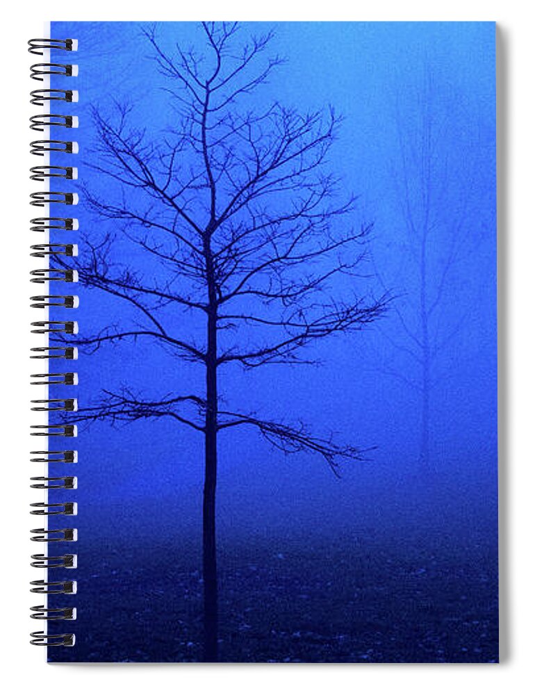 Blue Spiral Notebook featuring the photograph Bare Tree on a Foggy Morning by David Morehead