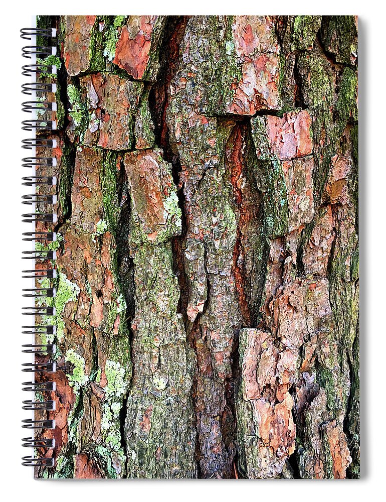 Bark Spiral Notebook featuring the photograph Barking up the Wrong Tree by Bill Swartwout