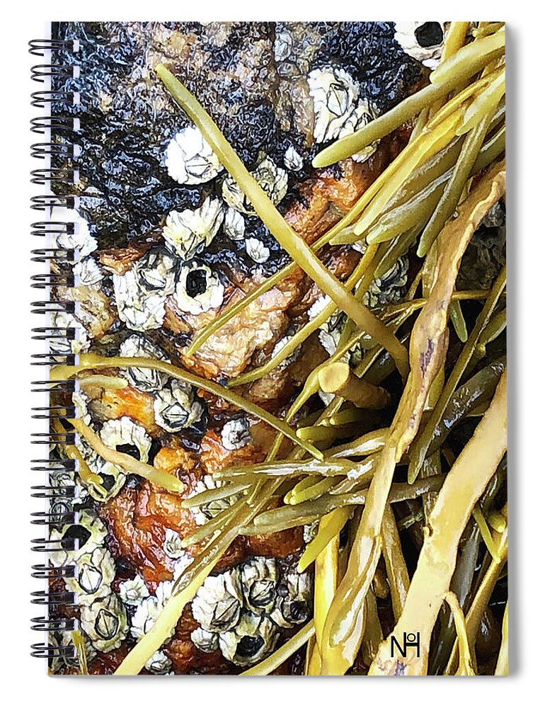 Ocean Spiral Notebook featuring the digital art Barnacles and Weed by Nancy Olivia Hoffmann