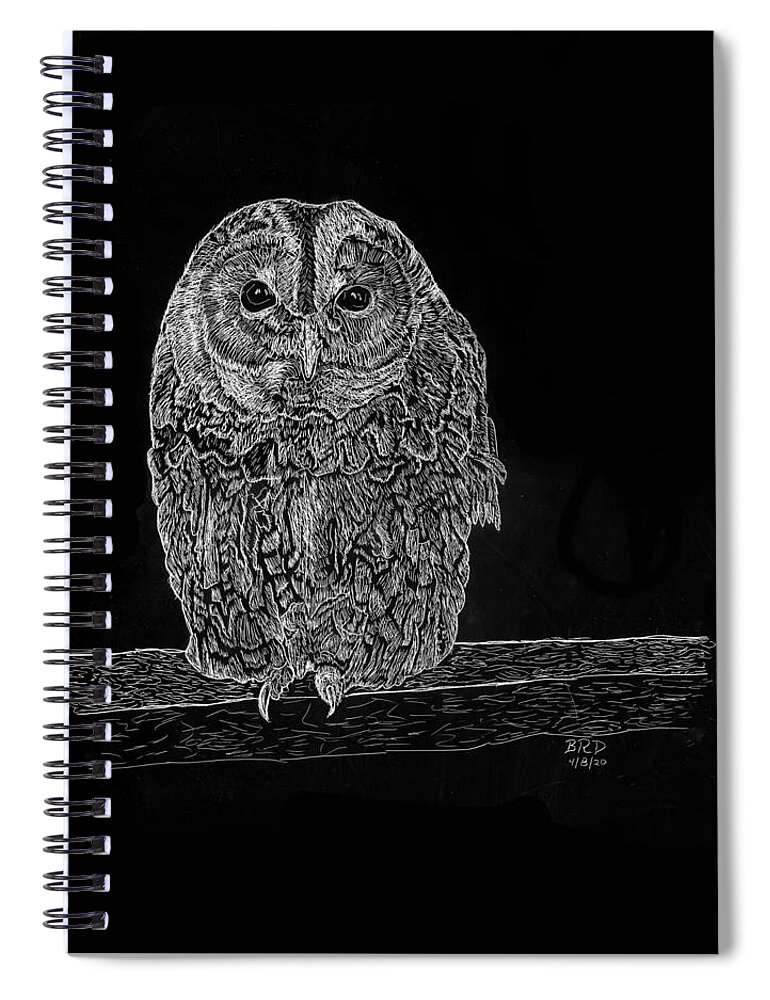 Barred Owl Spiral Notebook featuring the drawing Barred Owl by Branwen Drew