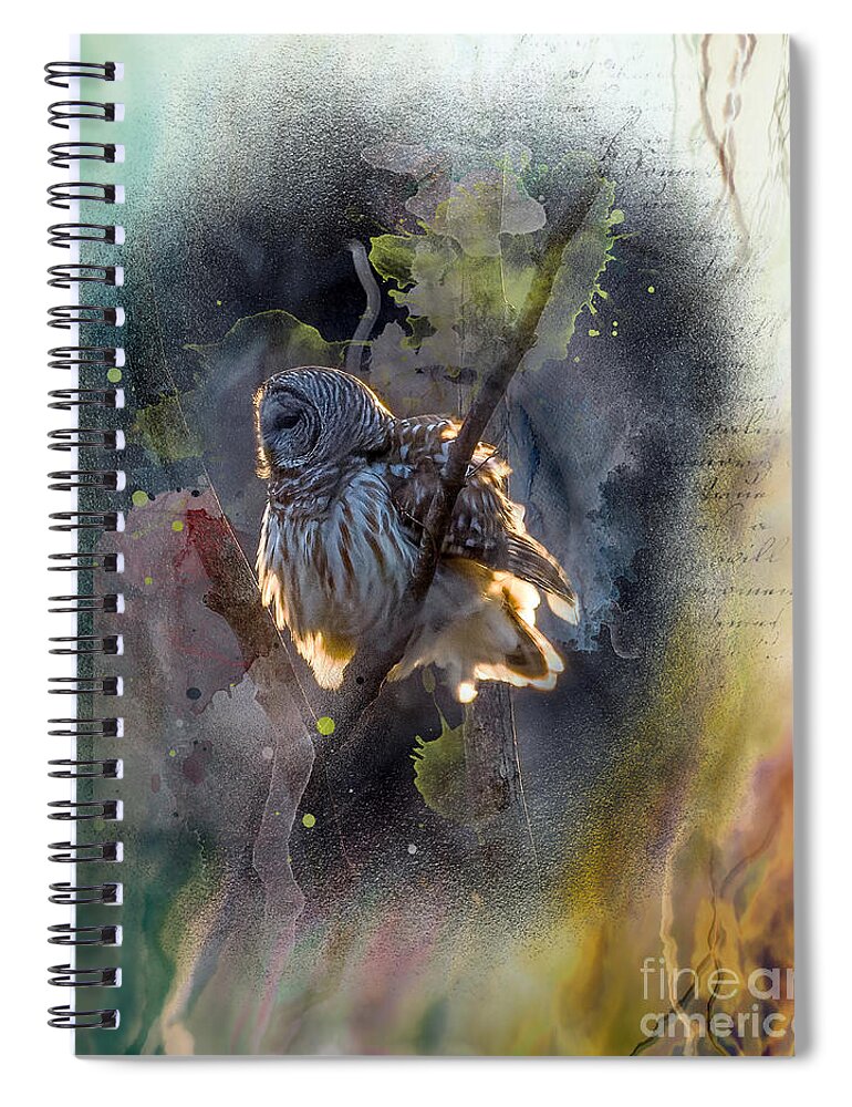 Barred Owl Spiral Notebook featuring the photograph Barred Owl in a Floof after Preening, Backlit Rimmed in a Golden Sunset by Sandra Rust