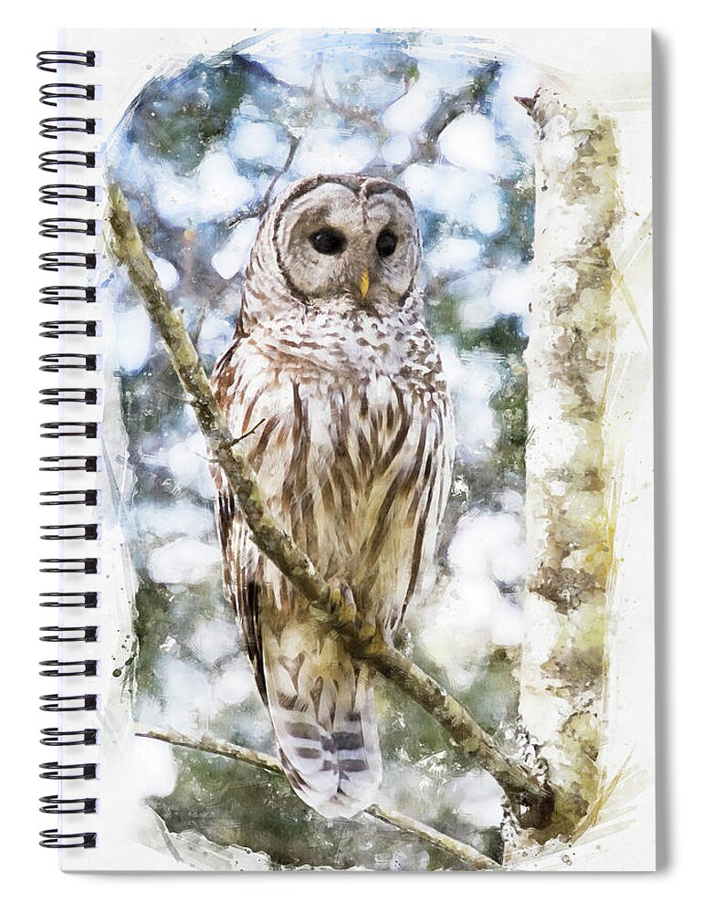 Barred Owl Spiral Notebook featuring the photograph Barred Owl - Wild Raptor of the Forest by Peggy Collins