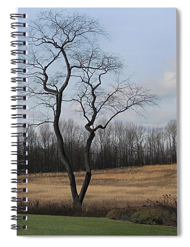 Pennsbury Township Spiral Notebook featuring the photograph Barren Beauty by Gordon Beck