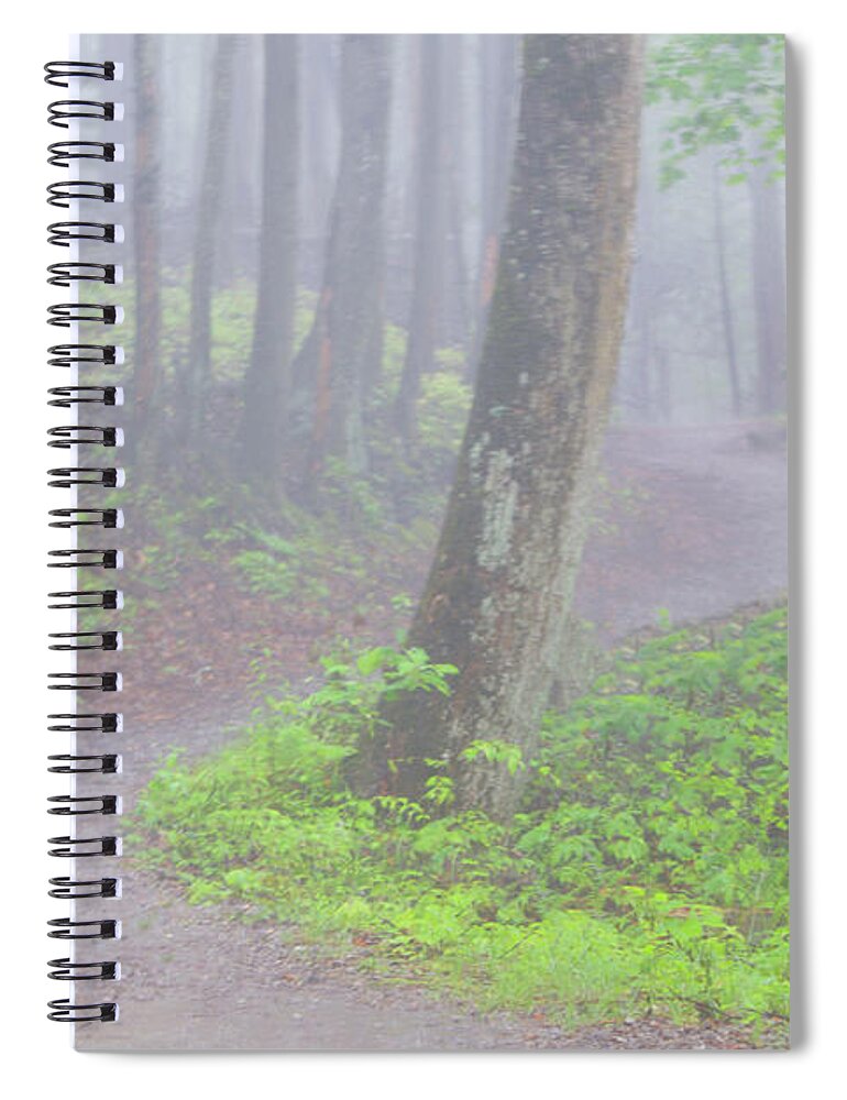 Art Prints Spiral Notebook featuring the photograph Baskins Creek Trail by Nunweiler Photography