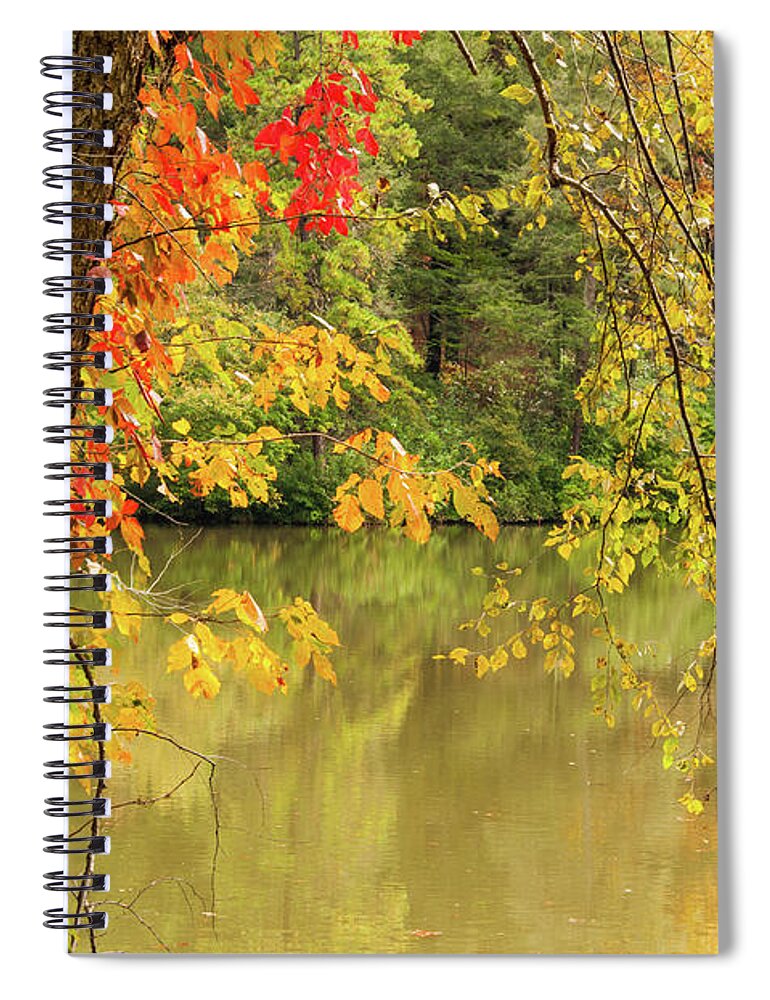 Bass Pond Spiral Notebook featuring the photograph Bass Pond Biltmore Estate by Rob Hemphill