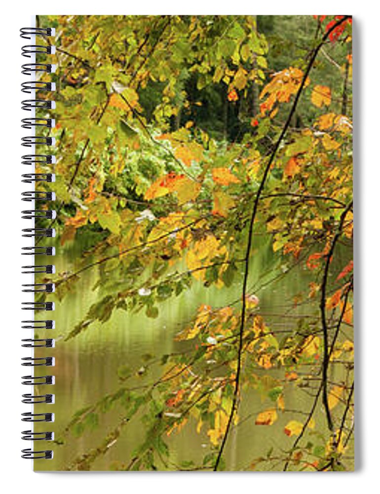 Bass Pond Spiral Notebook featuring the photograph Bass Pond Biltmore by Rob Hemphill