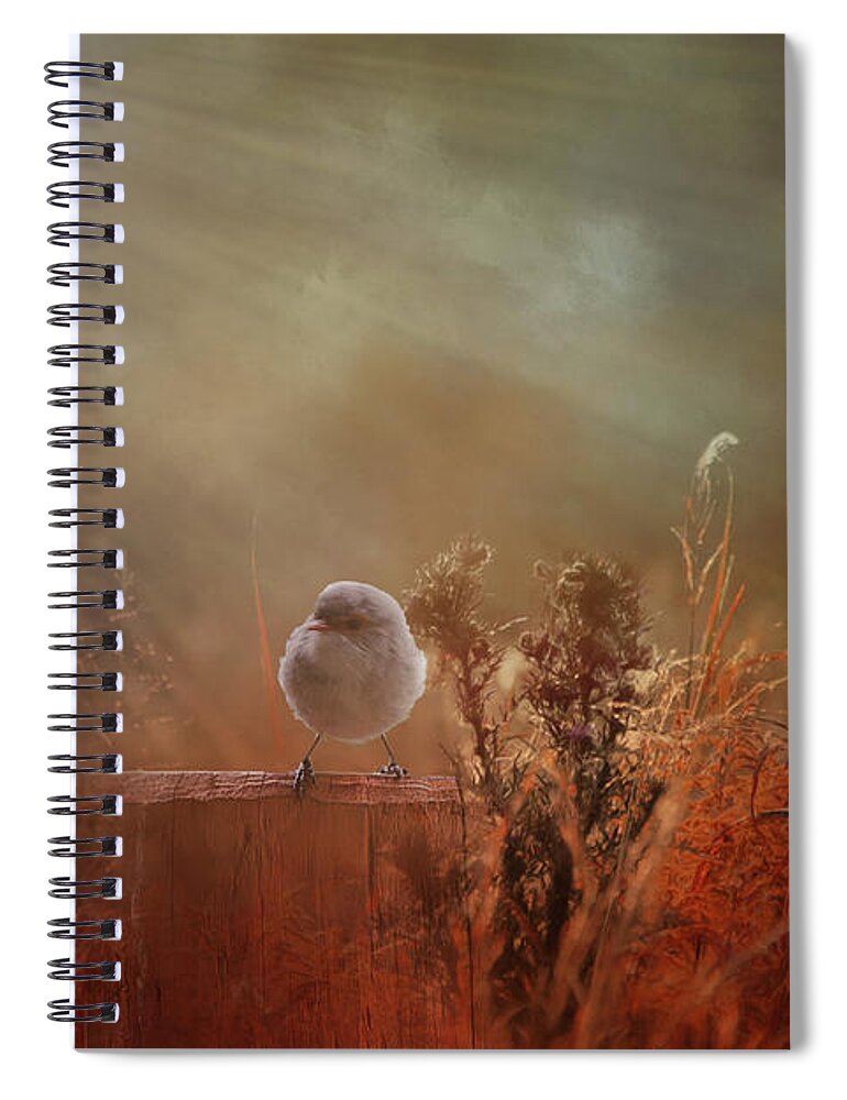 Wren Spiral Notebook featuring the photograph Bathed in Light by Elaine Teague