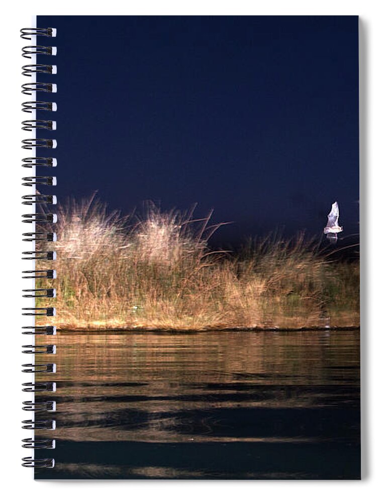 Bats Spiral Notebook featuring the photograph Bats of Death Valley by Joseph Philipson