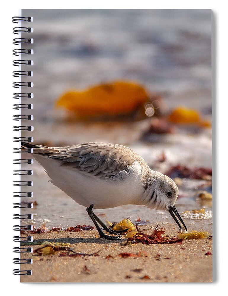Shore Bird Spiral Notebook featuring the photograph Beach Salad by Linda Bonaccorsi