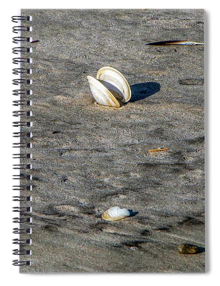Sand Spiral Notebook featuring the photograph Beach Things by Cathy Kovarik