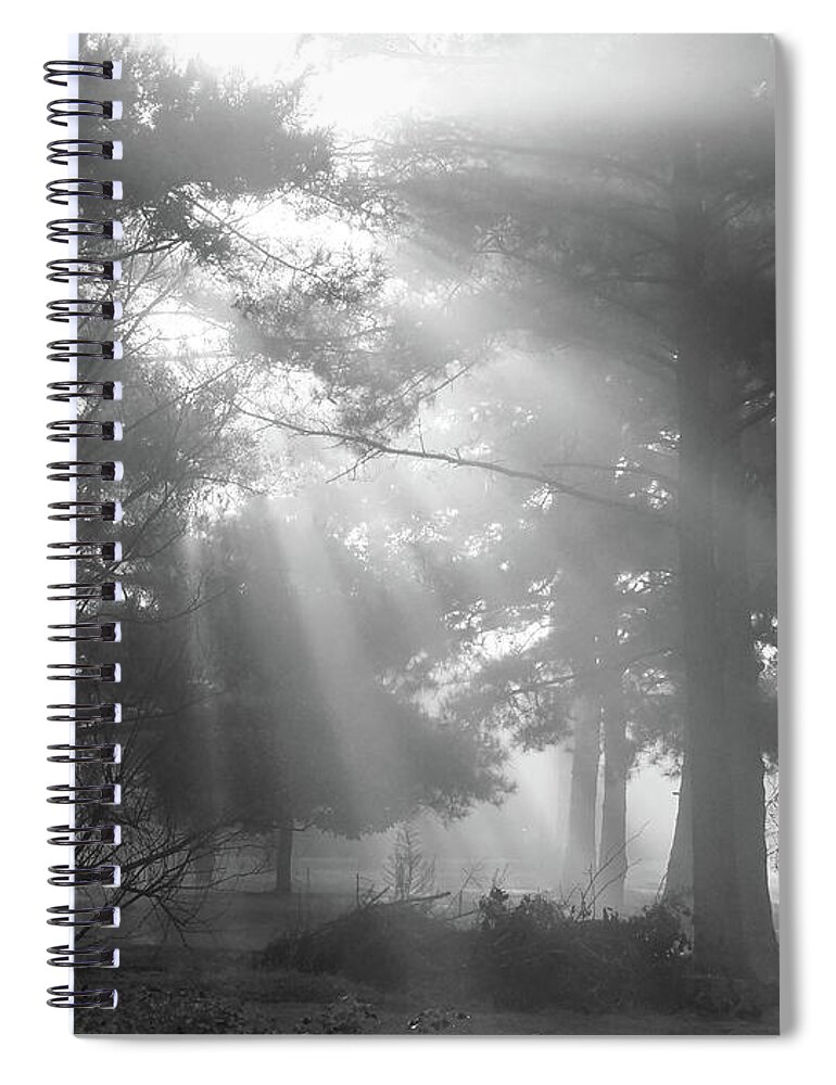 Fine Art Spiral Notebook featuring the photograph Beams Through the Trees by Mike McGlothlen