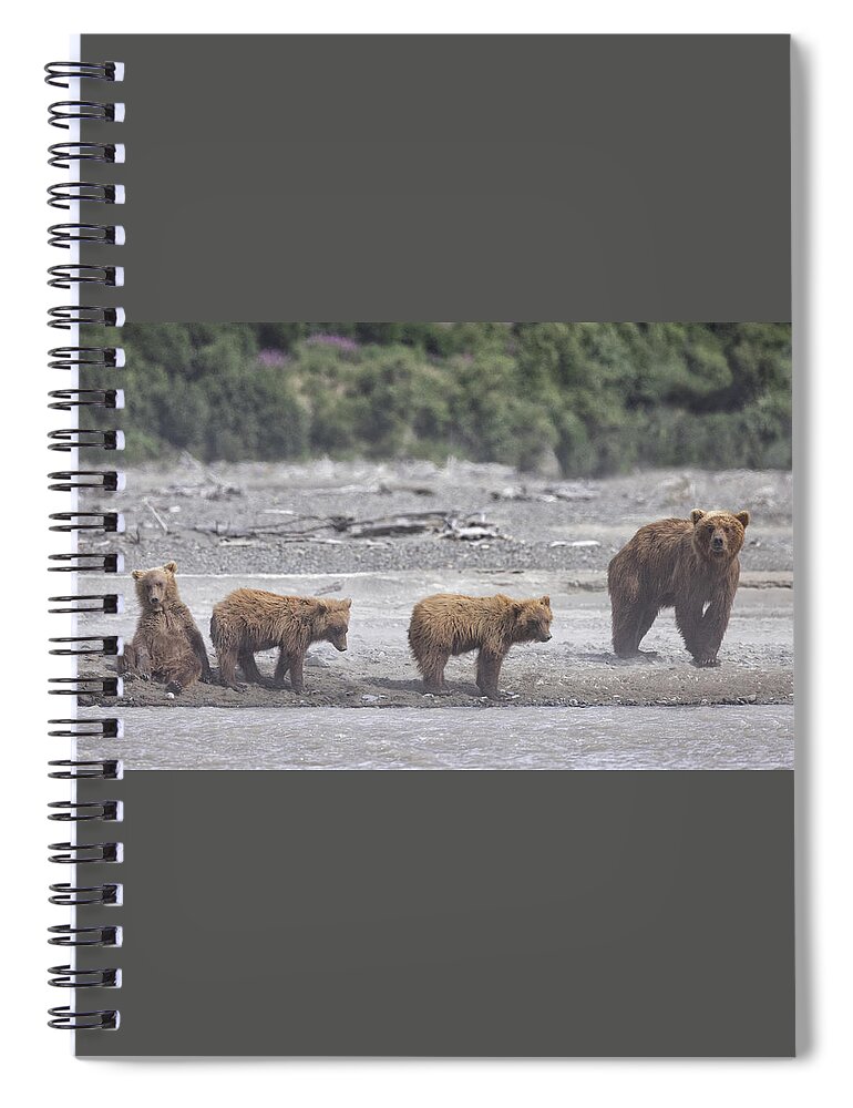 Alaska Spiral Notebook featuring the photograph Bears in a Sandstorm by Cheryl Strahl