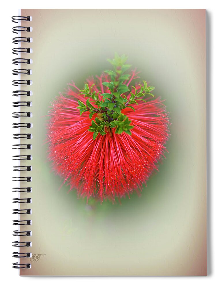 Beaufortia Spiral Notebook featuring the photograph Beaufortia by Elaine Teague