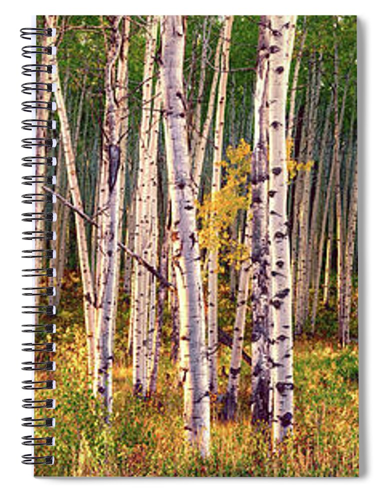 Photograph Spiral Notebook featuring the photograph Beautiful autumn scenery in the leaf changing aspen grove by OLena Art by Lena Owens - Vibrant DESIGN